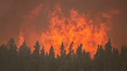 Olbrzymi pożar lasów w kanadyjskiej prowincji Alberta. Wielotysięczna ewakuacja w Fort McMurray