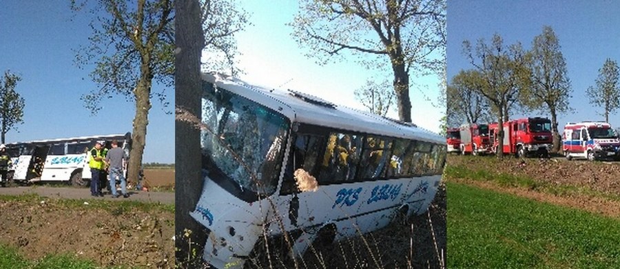 10 osób zostało rannych w wypadku autobusu PKS w Zwierznie w Warmińsko-Mazurskiem. Informację i zdjęcia dostaliśmy na Gorącą Linię RMF FM.