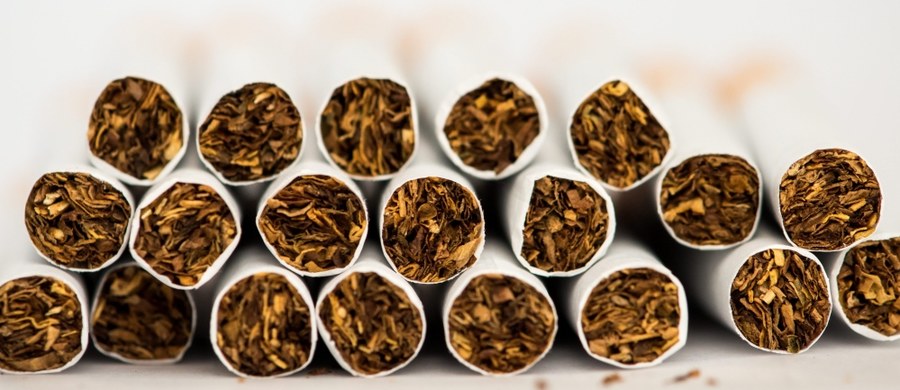 Miejsca pracy są zagrożone. Producenci papierosów apelują do rządu o wsparcie po tym, jak wczoraj unijny Trybunał Sprawiedliwości zatwierdził dyrektywę tytoniową. Oznacza to, że od 2020 roku zakazana będzie sprzedaż papierosów mentolowych, w produkcji których Polska jest potęgą.