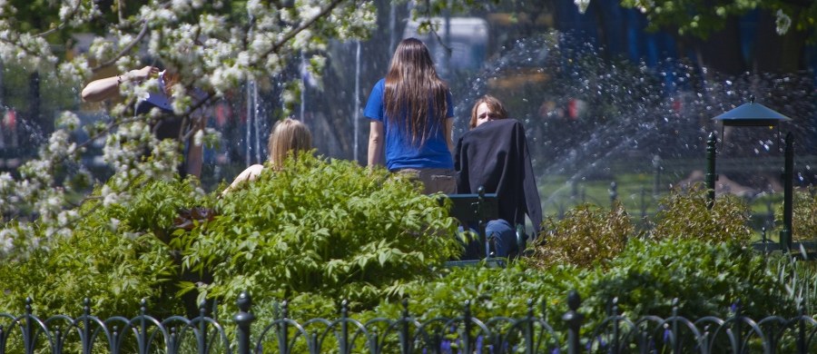 Z dzieciństwa dobrze pamiętam tzw. kółka, czyli place zabaw na krakowskich Plantach. Były bardzo skromne, ponieważ ich jedyne elementy stanowiły piaskownice. Na owe czasy (lata 60. ubiegłego wieku) stanowiły jednak bardzo atrakcyjne miejsca dla dzieciarni, a także dla matek, babć, cioć i opiekunek, które mogły sobie poplotkować siedząc na pobliskich ławkach i obserwując swoich podopiecznych grzebiących w piasku, jeżdżących na hulajnogach lub na trójkołowych rowerkach.
