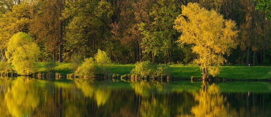 Polska znajduje się pod wpływem wyżu z centrami nad Morzem Bałtyckim i południową Skandynawią. W najbliższych dniach nie należy spodziewać się gwałtownej zmiany pogody. Termometry pokażą około 20 stopni Celsjusza. Możliwe są opady deszczu i burze. 
