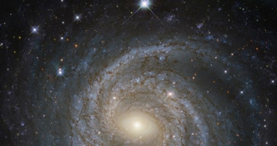NASA i ESA opublikowały najnowsze zdjęcie galaktyki NGC 6814 sfotografowanej przez kosmiczny teleskop Hubble'a. Porównują ją do... płatka śniegu. Nie ze względu na kształt, ale unikatowość. Galaktyki spiralne, choć powszechne we Wszechświecie, znacznie się różnią. Dlatego, podobnie jak w przypadku płatków śniegu, można z dużym prawdopodobieństwem założyć, że nie ma dwóch identycznych.