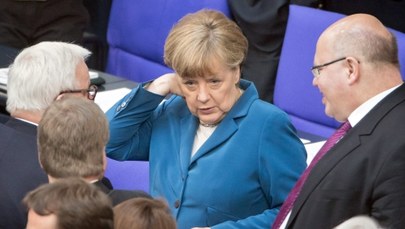 Świńska głowa przed biurem Angeli Merkel