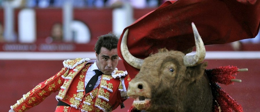 Krwawy festyn z bykiem, tzw. Toro de la Vega, który wywołuje w Hiszpanii coraz większe kontrowersje, odbędzie się jak co roku, ale po raz pierwszy jego uczestnicy nie będą mogli zabić zwierzęcia. Tak zdecydowały władze regionu autonomicznego Kastylia-Leon.