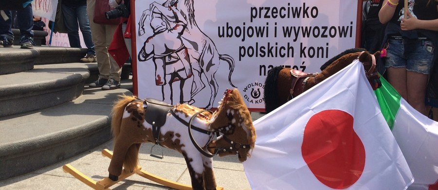 Przeciwko ubojowi i sprzedaży polskich koni na rzeź protestowali uczestnicy demonstracji w Warszawie. Na Placu Zamkowym - przed Kolumną Zygmunta, gdzie odbywał się protest - postawiono także kilka dziecięcych zabawek, koni na biegunach, którym odcięto głowy i przewiązano flagami Włoch i Japonii. 