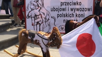 Konie na biegunach z odciętymi głowami. Protest przeciwko sprzedaży polskich koni na rzeź 