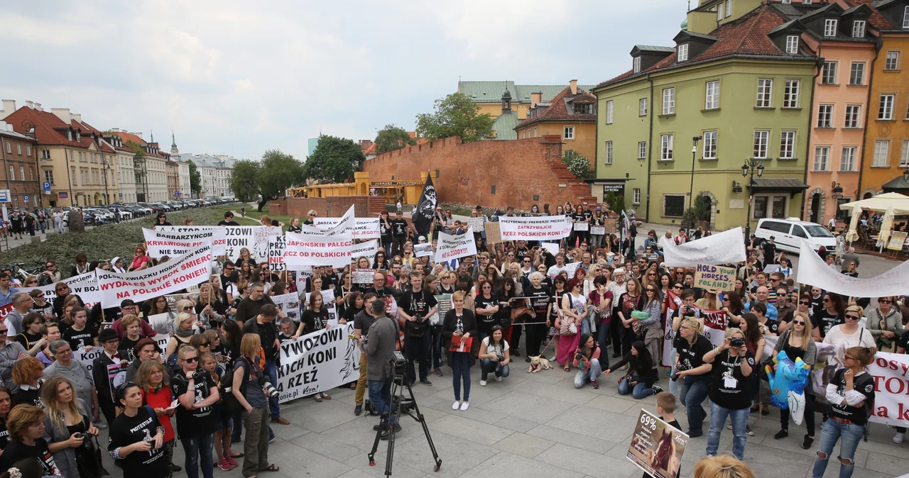 Manifestacja przeciwko wywozowi polskich koni na rzeź do Japonii 21. maja na Placu Zamkowym w Warszawie