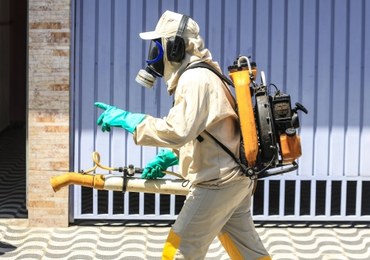WHO: Przenoszenie wirusa Zika drogą płciową częstsze, niż myślano