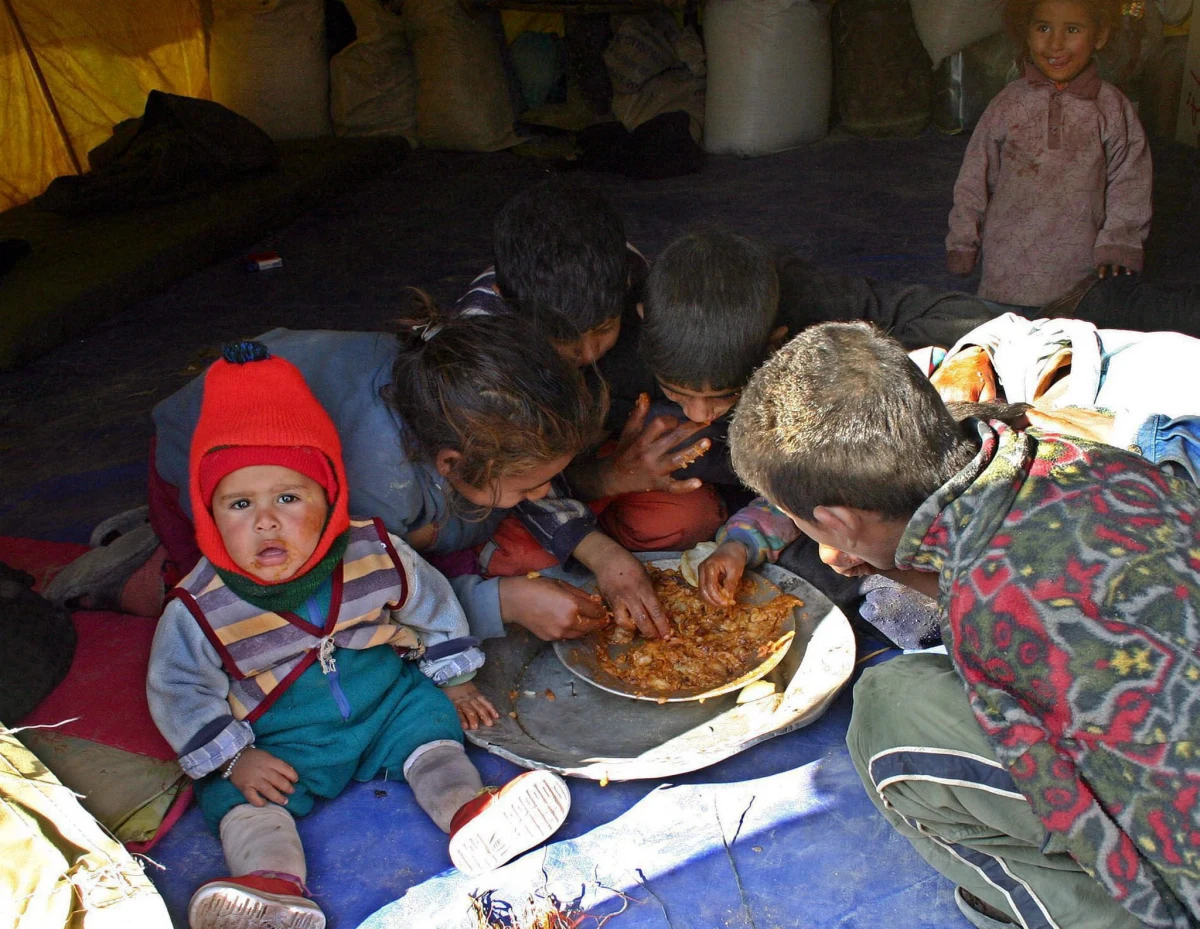 Fundusz Narodów Zjednoczonych Pomocy Dzieciom (UNICEF) zaapelował do dżihadystów z Państwa Islamskiego (IS) i żołnierzy irackiej armii, by w czasie walk o Faludżę oszczędzali przebywające w tym mieście dzieci. Jest ich tam ok. 20 tysięcy.