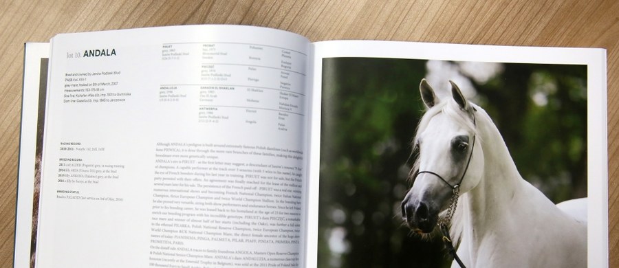 Jest katalog koni arabskich na tegoroczną aukcję Pride of Poland. Prestiżowa impreza odbędzie się w połowie sierpnia w stadninie w Janowie Podlaskim. Katalog już jest rozsyłany do potencjalnych klientów – w tym dużych stadnin z różnych krajów. 