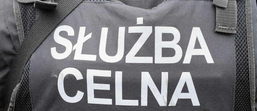 Celnicy protestują przeciwko rządowym planom powołania Krajowej Administracji Skarbowej. Dziś będą dokładniej niż zwykle prowadzić kontrole na granicach - powiedział nam Sławomir Siwy ze Związku Zawodowego Celników. Do pracy nie przyszła też ponad połowa celników zatrudniona w oddziałach wewnętrznych tj. Izbie Celnej i Oddziale Celnym w Olsztynie.