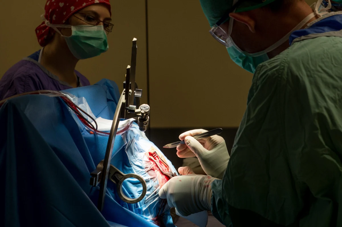 Trwałe nieodwracalne ustanie czynności mózgu oraz nieodwracalne zatrzymanie krążenia przed pobraniem narządów będzie stwierdzać dwóch lekarzy specjalistów - taką zmianę proponuje resort zdrowia. Teraz, o śmierci mózgu orzeka komisja złożona z trzech lekarzy specjalistów.