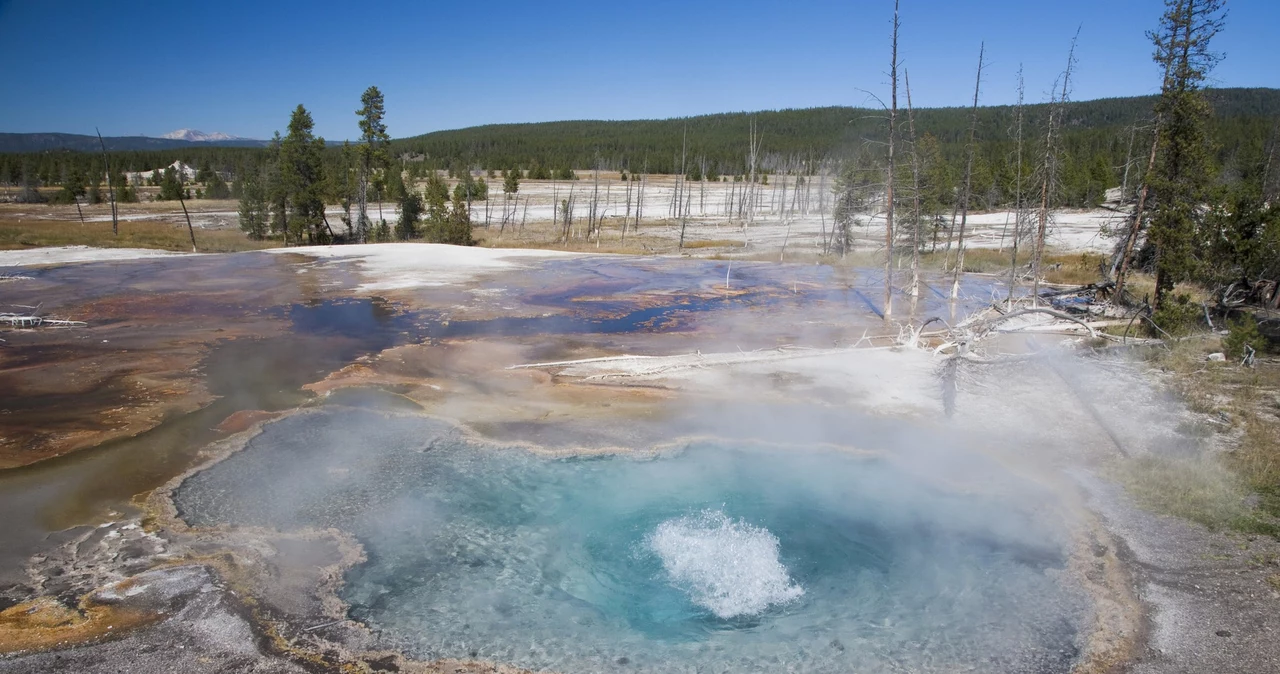 Źródła na terenie Yellowstone 