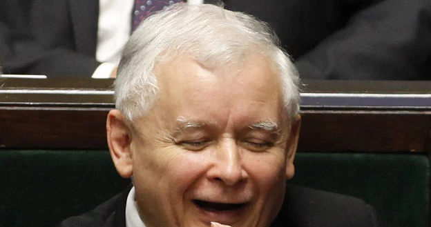 Jarosław Kaczyński opiekuje się trzema kotami