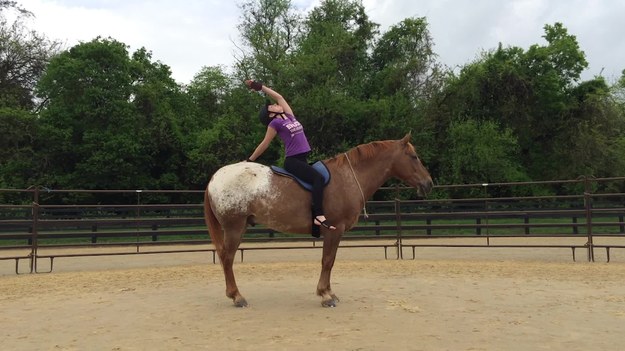 Oto tradycyjna joga w nietradycyjnej wersji. Angela Nunez z Virginii w USA wykonuje szereg trudnych pozycji, balansując na swoim dziewięcioletnim koniu.


"To doskonały sposób, żeby pogłębić więź ze swoim koniem i świetny sposób dla jogina, żeby wejść na wyższy poziom” – mówi 27-latka. „Joga na koniu wymaga wzajemnego zaufania i szacunku” - dodaje. Podkreśla też, że jej koń zawsze czuje się podczas ćwiczeń odprężony. „Lizanie, żucie i spuszczanie głowy to wszystkie oznaki odprężenia. (…) Zawsze się upewniam, czy któraś z pozycji nie spowoduje dyskomfortu lub nie zaszkodzi koniowi - jego dobre samopoczucie jest moim priorytetem. Koń wie, że jest moim partnerem, a nie moim niewolnikiem” – mówi Angela.


"Większość ludzi pozytywnie reaguje na naszą więź. Jest bardzo niewielu przeciwników, a ci którzy są na „nie” po prostu nie rozumieją mowy ciała konia. (…) Joga uczy, jak uspokoić swój umysł. Im bardziej się wyciszysz, tym bardziej wejdziesz w lepszą interakcję z koniem i tym lepiej będziesz w stanie wsłuchać się w to, co twój koń ma do powiedzenia. (…) Konie nie mówią naszym językiem, musimy więc nauczyć się ich słuchać".