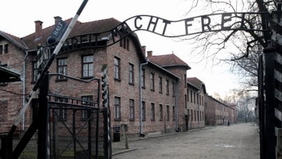 Kontrowersje wobec upamiętnienia w KL Auschwitz