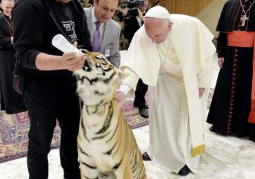 Tygrysy na audiencji u papieża Franciszka