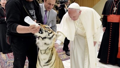 Tygrysy na audiencji u papieża Franciszka