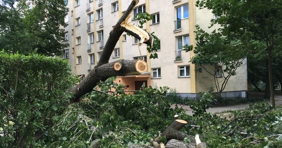 Cztery osoby zginęły i 28 zostało rannych, w tym pięciu strażaków – to najnowszy, tragiczny bilans nawałnic, które przetoczyły się wczoraj nad Polską. 100 tysięcy odbiorców w całym kraju nadal jest bez prądu. W związku z burzami strażacy interweniowali ponad 11,5 tysiąca razy. 