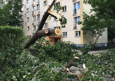 Polska po nawałnicach: 4 osoby zginęły, prawie 30 zostało rannych. Drzewa spadały i niszczyły auta
