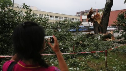 Burze nad Polską. 5 osób rannych, uszkodzone dachy, połamane drzewa