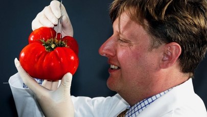 GMO w paszach będzie można stosować do 2021 roku