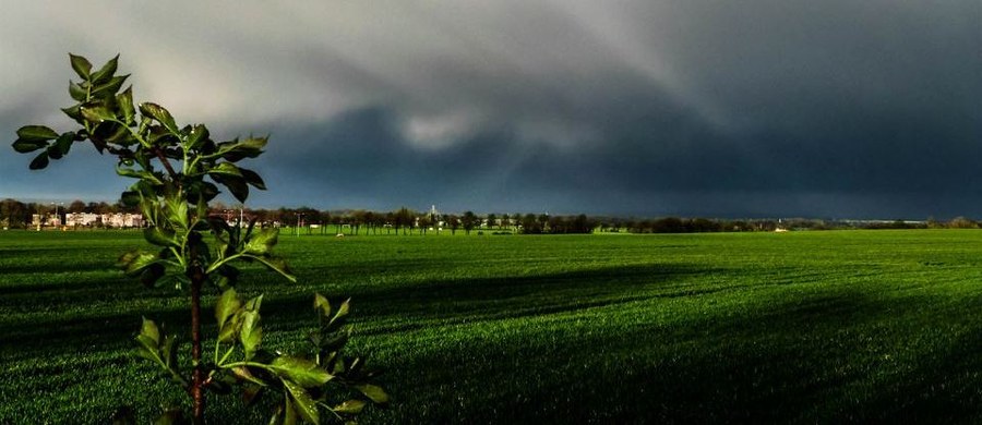 We wtorek przez centralną, wschodnią i południową część kraju przetoczą się burze z piorunami. Z kolei w czwartek temperatura spadnie poniżej 20 stopni Celsjusza.