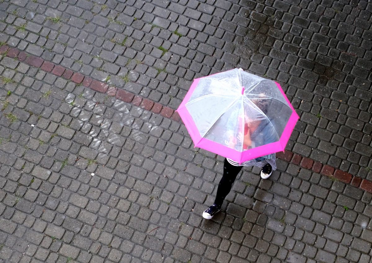 Alarm przeciwpowodziowy ogłoszono w Jeleniej Górze na Dolnym Śląsku, a na terenie powiatu - pogotowie przeciwpowodziowe. Po intensywnych opadach deszczu niebezpiecznie podniósł się poziom rzeki Kamienna przepływającej przez miasto. 
