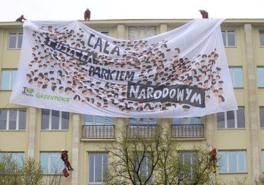 Puszcza Białowieska nadal na liście UNESCO. Spór jednak nie gaśnie