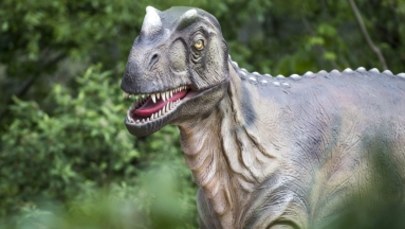 Dinozaury wyginęły przez... sadzę. To najnowsze odkrycie japońskich naukowców