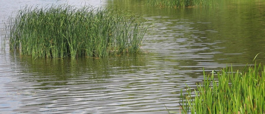 Do dramatu doszło pod Gdańskiem. W jeziorze Osowskim utonęły matka i córka - dowiedział się reporter RMF FM Kuba Kaługa.