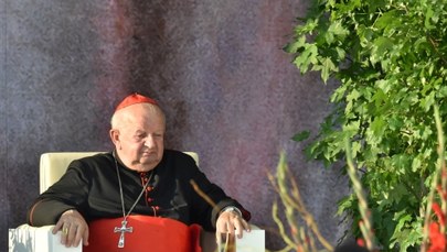Kardynał Dziwisz o ŚDM: Młodzież wprowadziła ducha pokoju i solidarności 