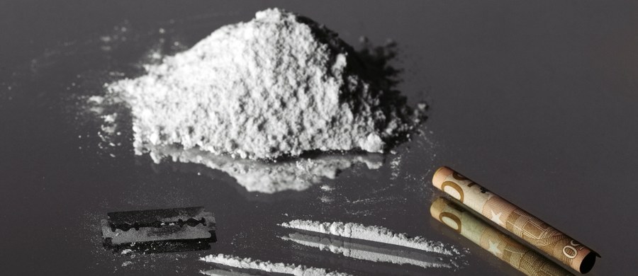 Naukowcy z Północnej Karoliny bliżsi rozwiązania zagadki kokainy. Odkryli, dlaczego w przypadku tego narkotyku tak trudno uwolnić się od uzależnienia. Badacze z Wake Forest Baptist Medical Center opisują na łamach czasopisma "Journal of Neuroscience" wyniki badań na szczurach, które pokazują, że nawet po długiej abstynencji pojedyncza dawka narkotyku wystarcza, by mózg uruchomił pełną reakcję związaną z uzależnieniem.