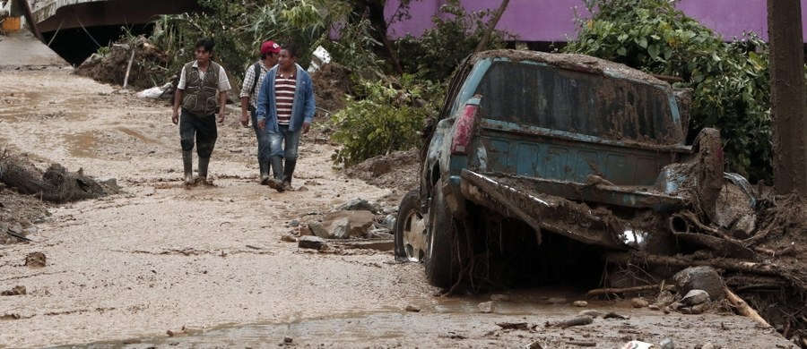 Liczba śmiertelnych ofiar lawin ziemnych, które zeszły w ciągu weekendu w meksykańskich stanach Puebla i Vera Cruz wzrosła do 38 - poinformowały w niedzielę władze. Lawiny spowodowały intensywne deszcze, które towarzyszyły tropikalny sztorm Earl.