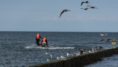WOPR o wypoczywających nad Bałtykiem: Dużo sytuacji skrajnego lekceważenia podstawowych zasad