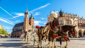 Najciekawsze pomysły na spędzenie długiego weekendu w Krakowie i okolicach