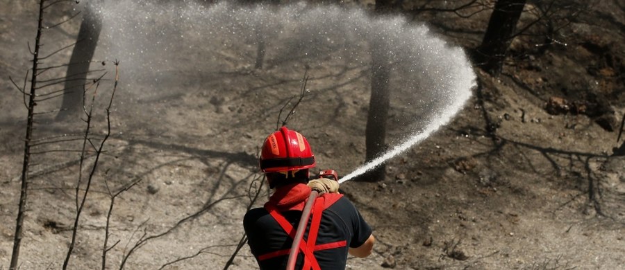 Ogromne pożary na Francuskiej Riwierze. Szybko rozprzestrzeniające się gigantyczne płomienie zniszczyły już ponad trzy tysiące hektarów lasów i zaatakowały przedmieścia Marsylii. Spłonęło wiele domów, co najmniej 8 osób jest rannych – w tym cztery ciężko.