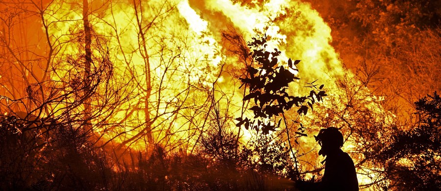Nawet 98 proc. szalejących od początku sierpnia pożarów lasów w Portugalii mogło być spowodowane przez ludzi, z tego trzy czwarte celowo - poinformował szef stowarzyszenia portugalskich strażaków Jaime Marta Soares, przedstawiając szacunki tej organizacji. W ciągu 12 dni ogień zabił trzy osoby i strawił co najmniej 80 tys. hektarów lasów.