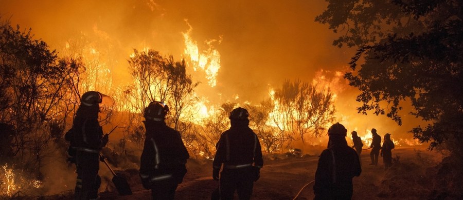 Około czterech tysięcy osób opuściło domy, by uciec przed wielkim pożarem lasu, który w ciągu weekendu strawił co najmniej 1,2 tys. ha w Kalifornii. Spłonęło kilkanaście domów i przedsiębiorstw. Pożar szaleje dalej. Walczy z nim ponad tysiąc strażaków.