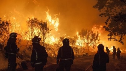 Spłonęło kilkanaście domów i przedsiębiorstw. Ludzie uciekają przed wielkim pożarem lasu