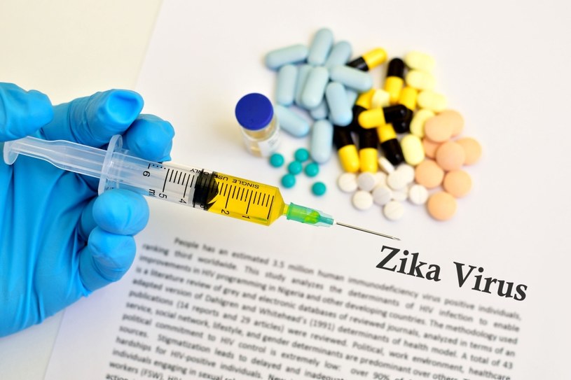 Badacze z Międzyuczelnianego Wydziału Biotechnologii Uniwersytetu Gdańskiego (UG) i Gdańskiego Uniwersytetu Medycznego (GUMed) opracowali prototyp szczepionki przeciw wirusowi Zika. Prace nad nią trwały od kilku lat, a jej skuteczność została potwierdzona na myszach. 