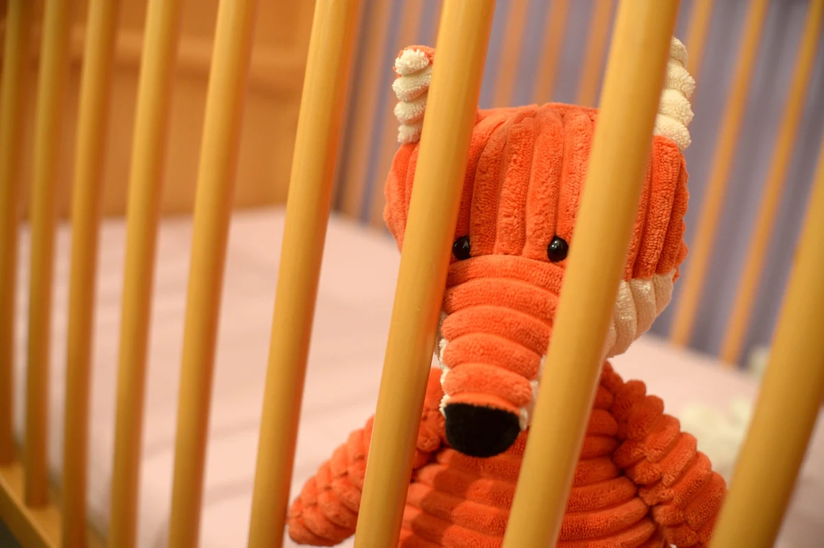 Polskie ministerstwo wszczęło postępowanie w sprawie Polki, której na początku sierpnia w szpitalu w Esslingen odebrano trzydniowe niemowlę. Matka dziewczynki miała usłyszeć, że dziecko pod jej opieką "wyschnie", bo nie będzie w stanie go wykarmić - informuje Polsat News. 