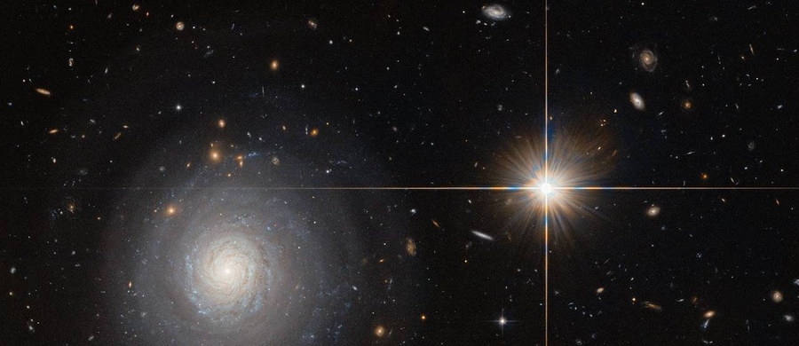 W gwiazdozbiorze Centaura zaobserwowano niezwykłe wydarzenie: przebudziła się tzw. gwiazda nowa. W czasie wybuchu układ był 2 mln razy jaśniejszy niż wcześniej. Polscy astronomowie już od lat obserwowali ten fragment nieba i po raz pierwszy potwierdzili mechanizm takiej eksplozji.