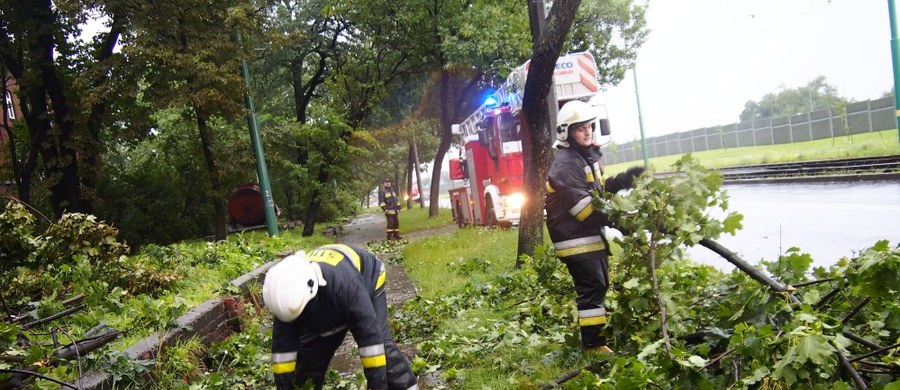 350 razy interweniowali od wczoraj strażacy w całej Polsce przez burze i silny wiatr. Najwięcej pracy mieli w województwach śląskim, dolnośląskim, zachodniopomorskim i łódzkim.