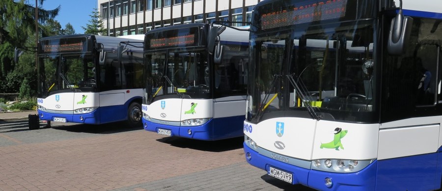 Od jutra (1 września) komunikacja miejska w Zakopanem powiększy się aż dwukrotnie. To znaczy, że zamiast jednej linii, po której jeżdżą dwa autobusy, będą dwie linie i cztery "solarisy". Autobusami komunikacji miejskiej będzie można dojechać nie tylko na Olczę czy Harendę, ale także na Cyrhlę i Krzeptówki. Bezpośrednie połączenie zyska więc wschodni i zachodni kraniec miasta.