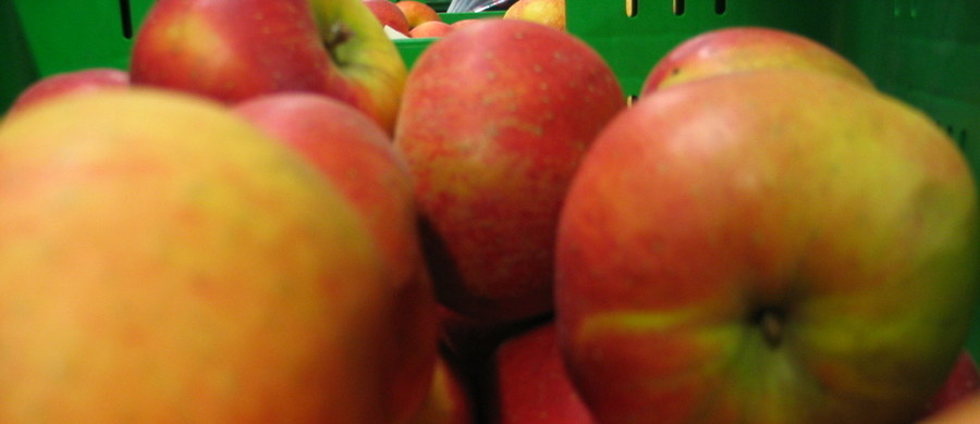 ​Spory transport jabłek zatrzymały rosyjskie służby w rejonie Smoleńska. Owoce oficjalnie pochodziły z Białorusi, jednak znaleziono etykiety wskazujące na to, że tak naprawdę są z Polski.