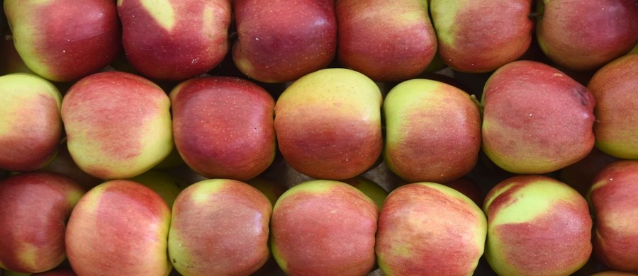 ​Polskie jabłka wycofane ze szwedzkich marketów po stwierdzeniu skażenia pestycydami trzeba będzie wycofać także z krajowego rynku. Jak dowiedział się reporter RMF FM Generalna Inspekcja Sanitarna właśnie dostała alert w systemie RASFF.