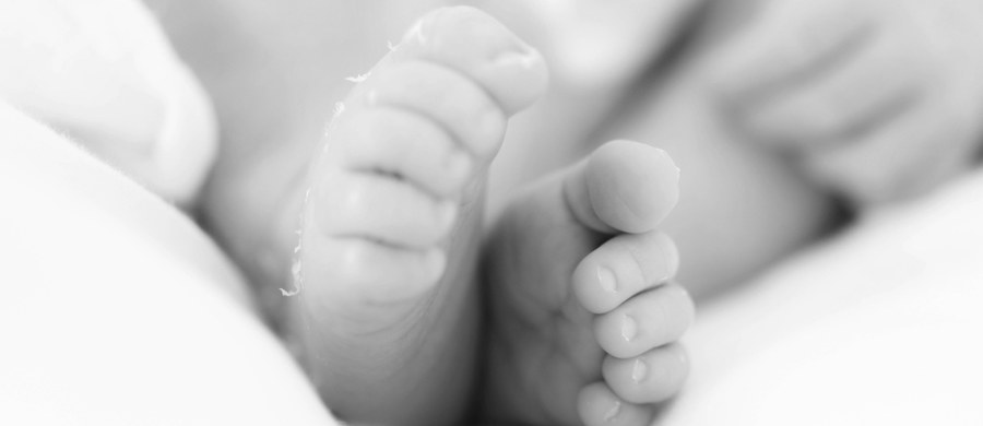 We wtorek sąd rozpatrzy wniosek o tymczasowe aresztowanie matki 7-mięsiecznego niemowlęcia, którego ciało znaleziono w dziecięcym wózku w Kamiennej Górze na Dolnym Śląsku. 21-latka usłyszała zarzuty narażenia syna na bezpośrednie niebezpieczeństwo utraty zdrowia i życia oraz nieumyślnego spowodowania śmierci poprzez niezapewnienie dziecku należytej opieki - w tym medycznej.