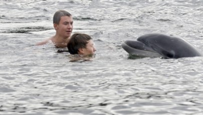 Delfin w Kanale Kilońskim. Psoci z pływakami i pozuje do zdjęć