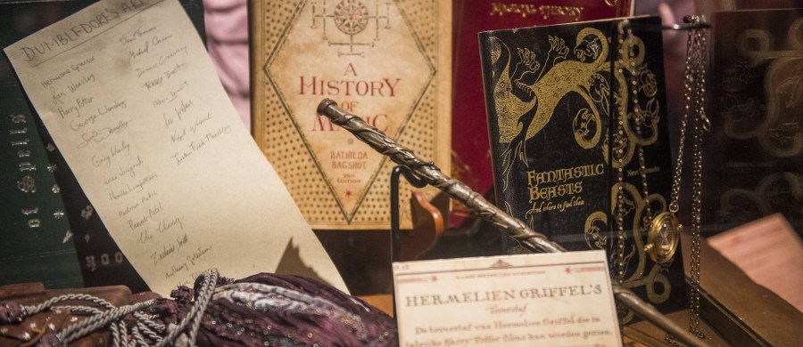 Uczniowie we Włoszech chcieliby uczyć się w szkole samoobrony i sztuk walki, muzyki, dialektów, geografii oraz przedmiotów, które wykładano w szkole Harry'ego Pottera, w Hogwarcie – oto wyniki ankiety, przeprowadzonej w związku z rozpoczęciem roku szkolnego.